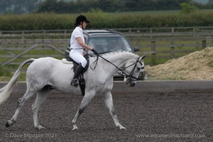 ISIS Dressage Challenge 2008